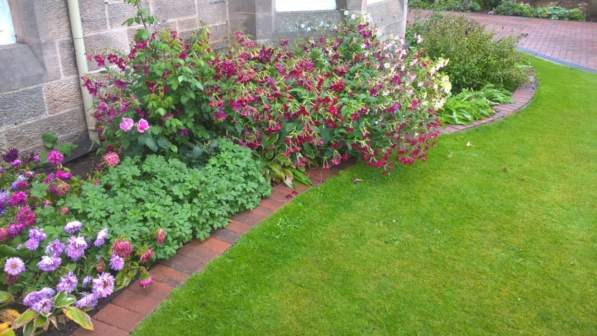 Flower border of a garden