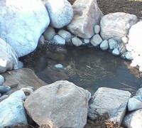 Small Stone pond