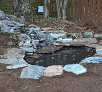 Back garden pond