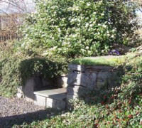 Natural stone steps with overgrown bushes