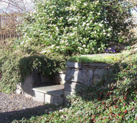 Natural stone steps with overgrown bushes