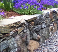 Long natural stone wall with blue plants